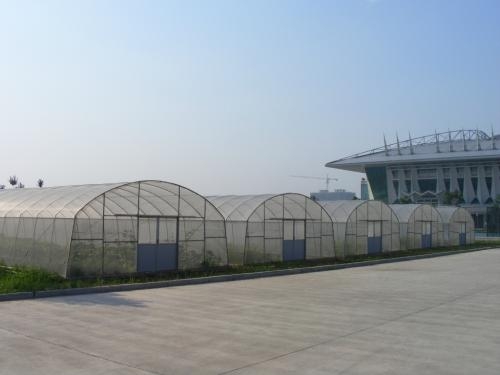 米兰体育温室大棚图片