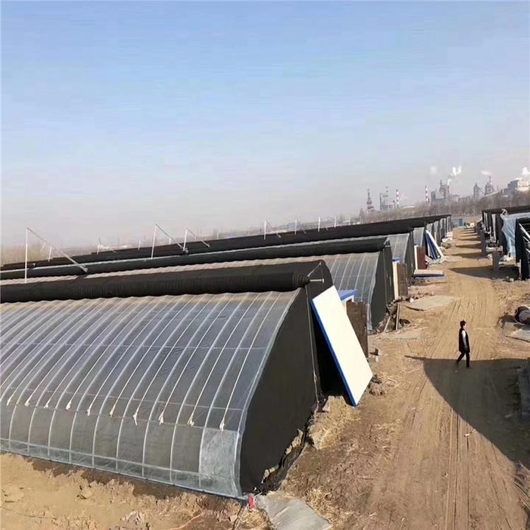 米兰体育温室大棚图片 米兰体育温室大棚图片